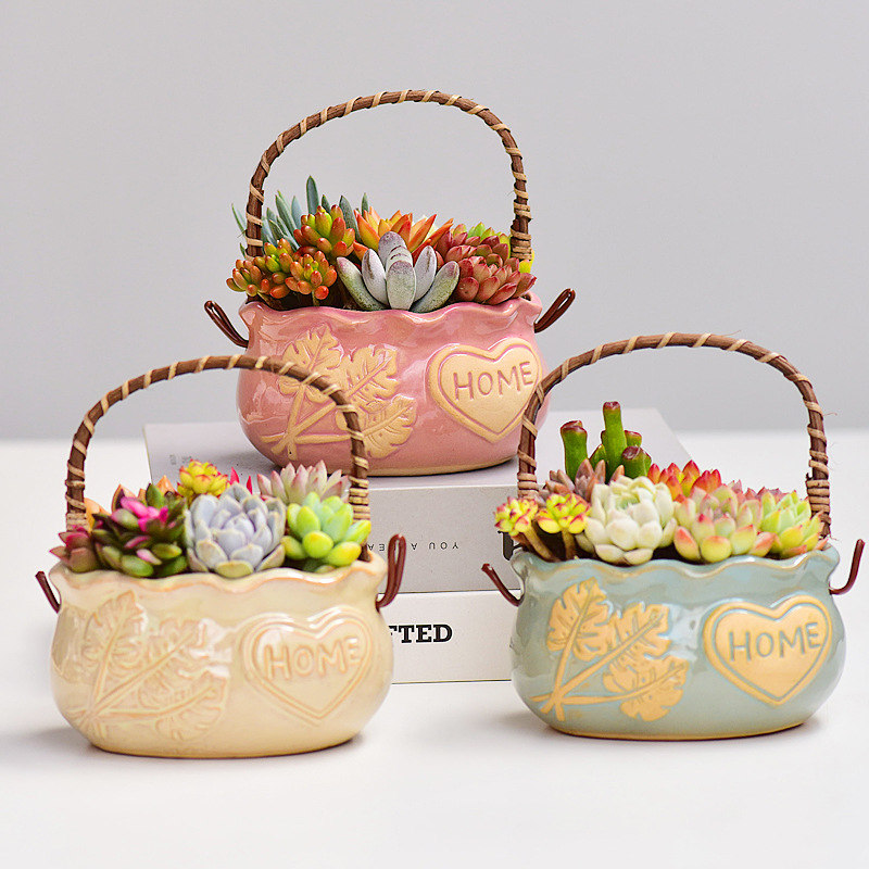 Керамическое кашпо в скандинав – обзор и цена Snake Plant Ceramic
