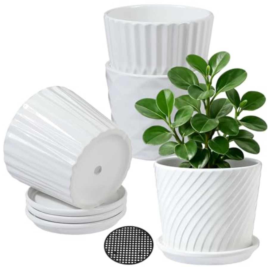 Керамические горшки-цилиндры д – обзор и цена Snake Plant Ceramic