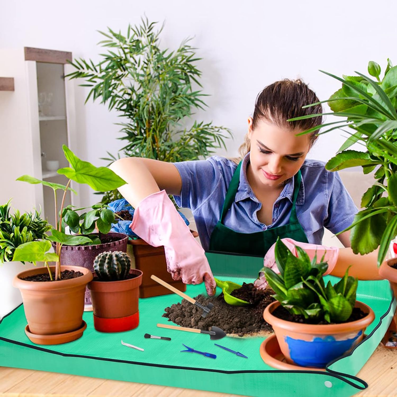 Утолщенные водонепроницаемые к – обзор и цена Snake Plant Ceramic